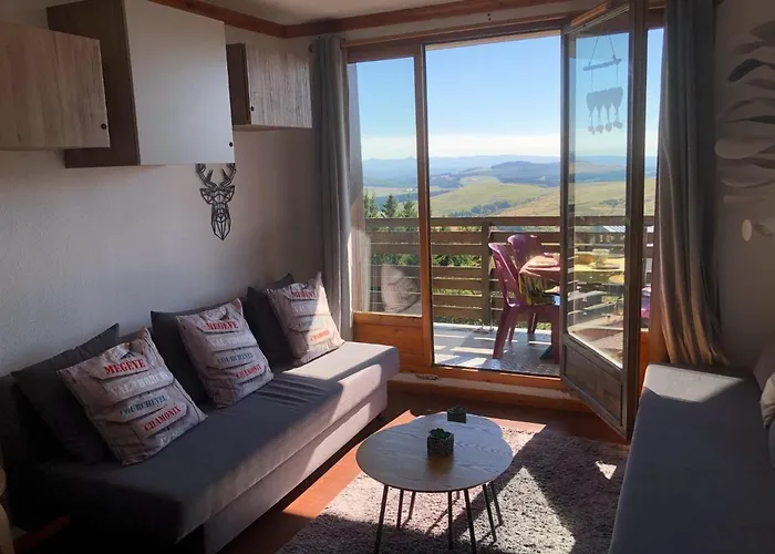 Lama-gite-des-puys T3 Lamadalet, Vue Sud, Terrasse, Parking Prive Apartment